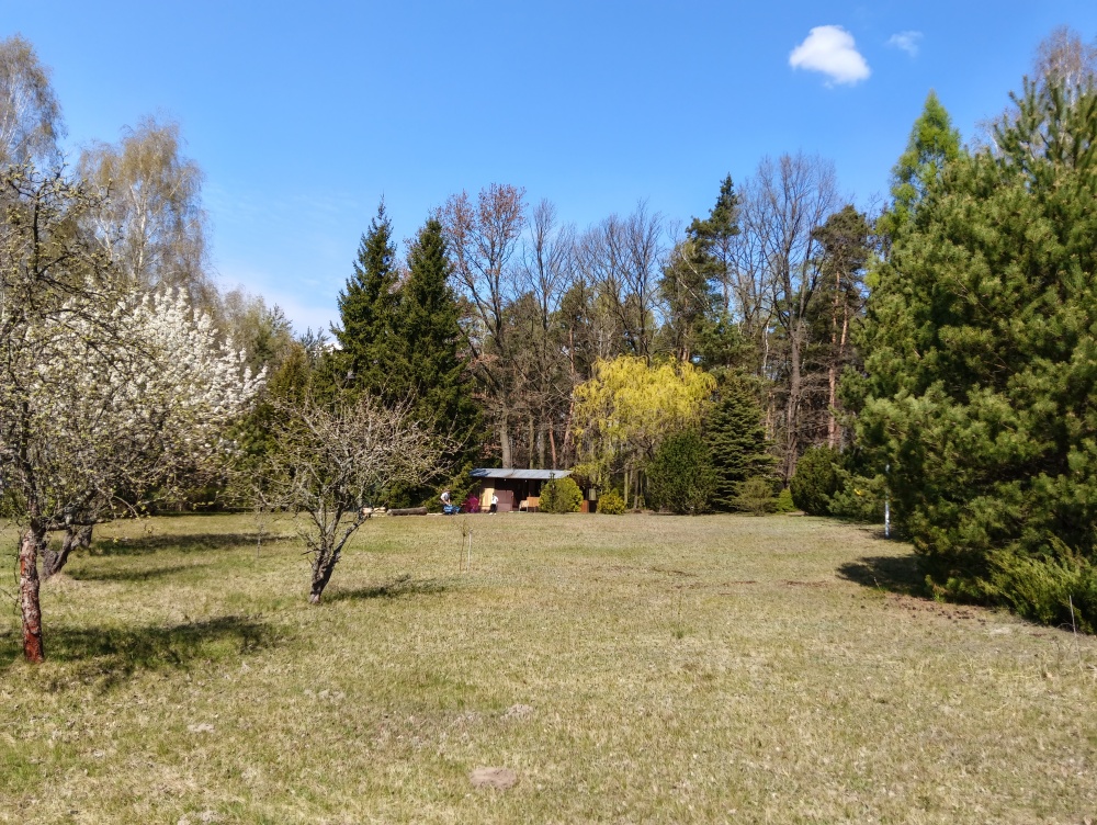 piekna dzialka dla odpowiediego klijenta - 3