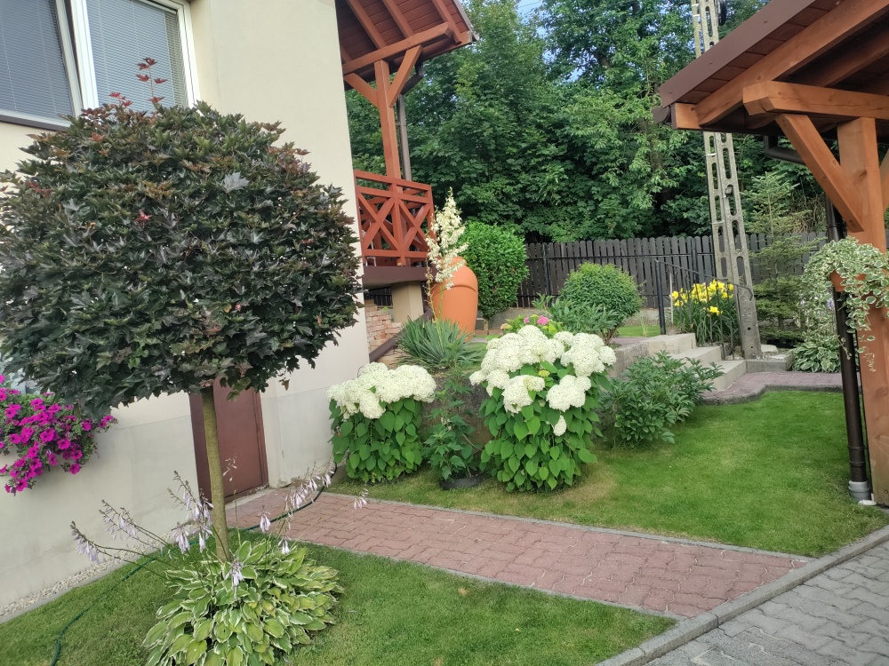 Dom jednorodzinny  - 12