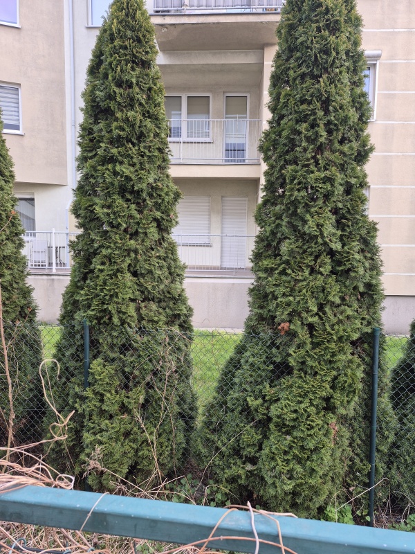 MIESZKANIE PIĄTKOWO - 0