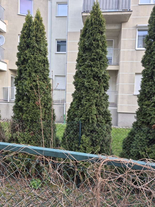 MIESZKANIE PIĄTKOWO - 1