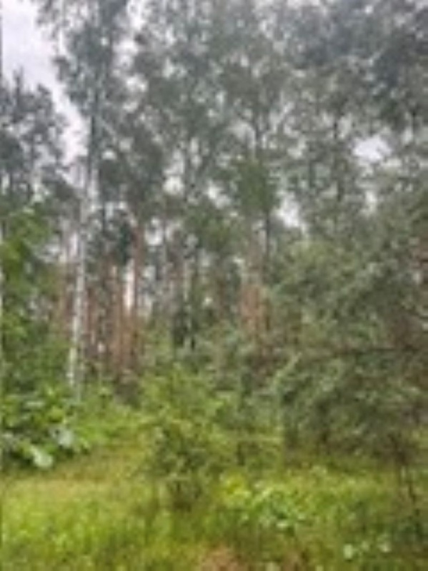 Działka budowlana ul. Polany Aleksandrów  - 1