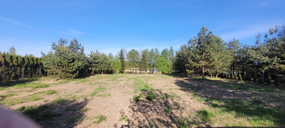 Działka rolno-budowlana z bezpośrednią linią brzegową jeziora - 2