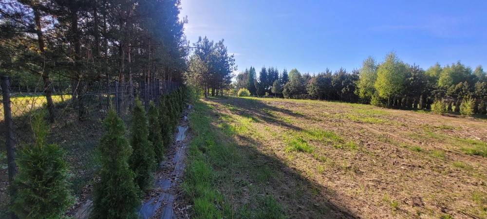 Działka rolno-budowlana z bezpośrednią linią brzegową jeziora - 3