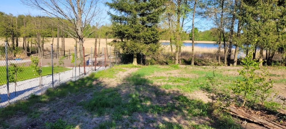 Działka rolno-budowlana z bezpośrednią linią brzegową jeziora - 6