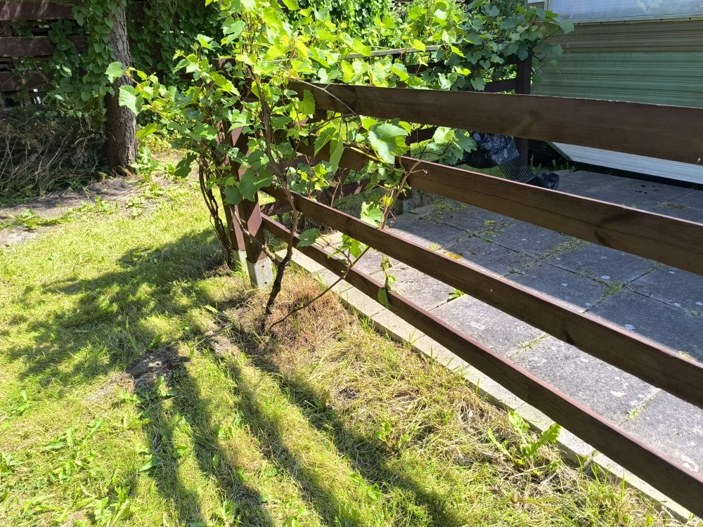 Działka ROD z przyczepą nad morzem.  - 12