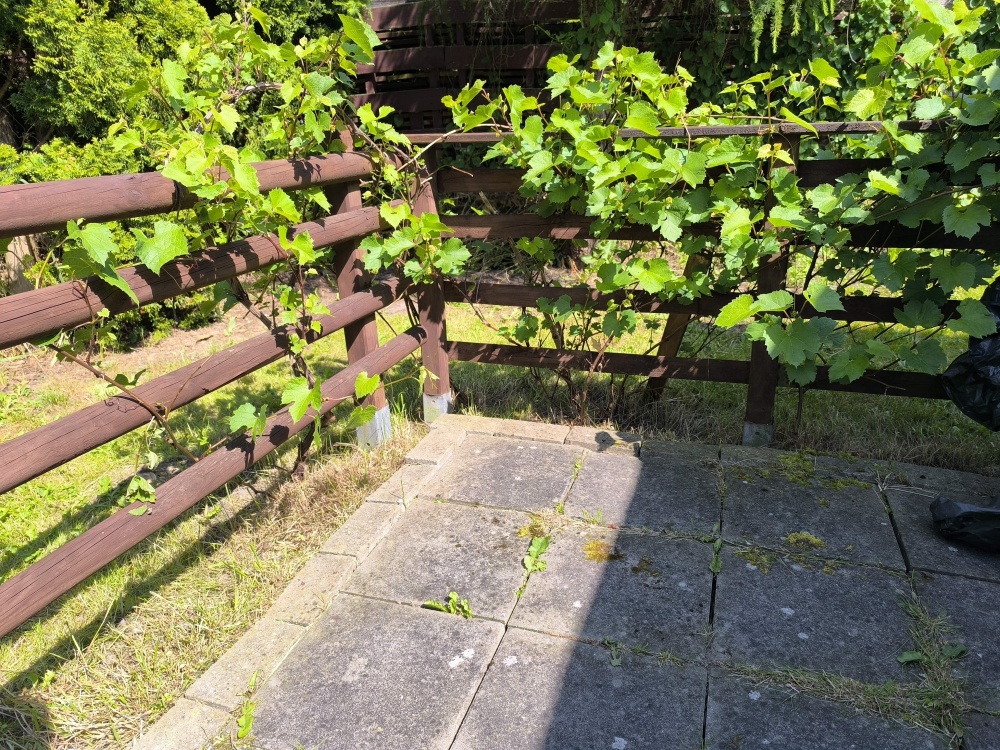 Działka ROD z przyczepą nad morzem.  - 2