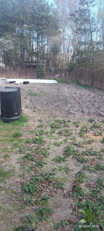 Sprzedam nieruchomość w Ostrówku Węgrowskim - 4