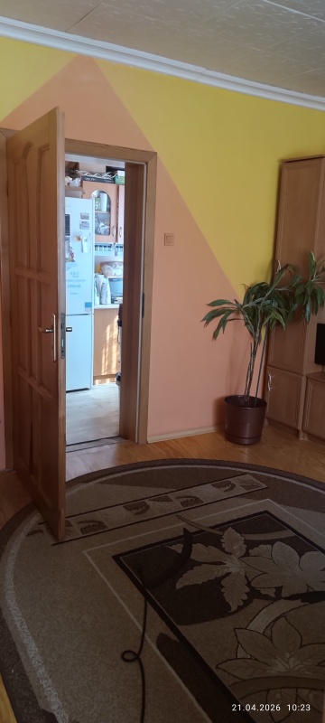 Sprzedam nieruchomość w Ostrówku Węgrowskim - 6