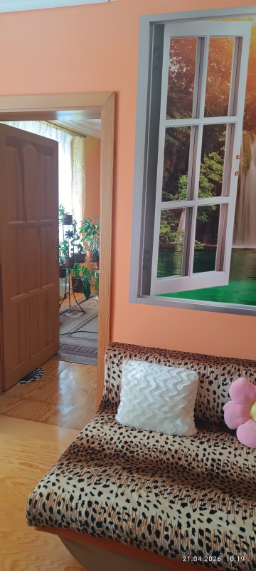 Sprzedam nieruchomość w Ostrówku Węgrowskim - 7