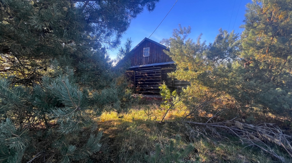 Siedlisko, działka rekreacyjna, Luszawa, Gm. Ostrówek - 5