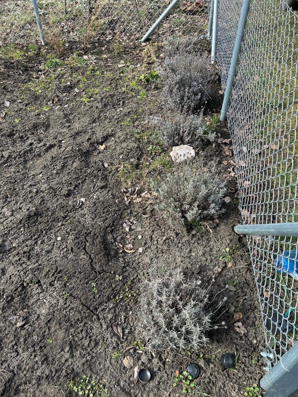 Sprzedam Działkę ROD we Wrocławiu na Kuźnikach - 0