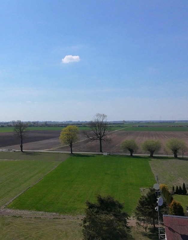 DZIAŁKI BUDOWLANE Z KOMPLETEM DOKUMENTÓW Dąbrowa | gm. Lądek | powiat słupecki - 1