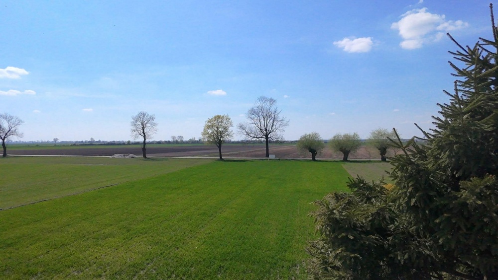 DZIAŁKI BUDOWLANE Z KOMPLETEM DOKUMENTÓW Dąbrowa | gm. Lądek | powiat słupecki - 7