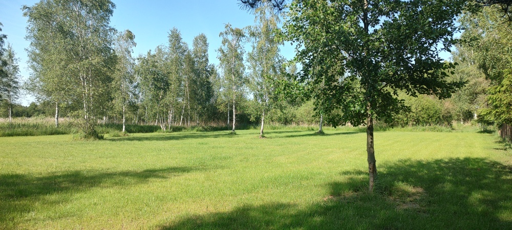 MAZURY Działka nad jeziorem Roś z dostępem do linii brzegowej i pomostu -  Szczechy Małe - 0