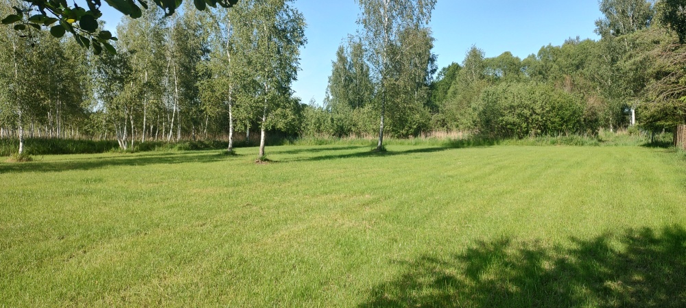 MAZURY Działka nad jeziorem Roś z dostępem do linii brzegowej i pomostu -  Szczechy Małe - 4