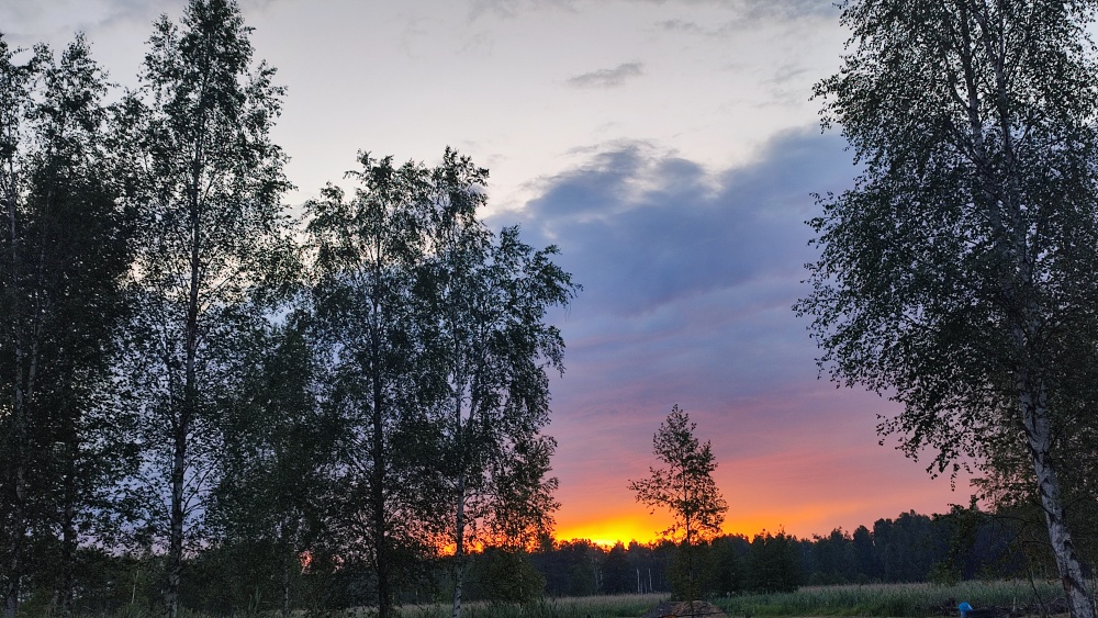 MAZURY Działka nad jeziorem Roś z dostępem do linii brzegowej i pomostu -  Szczechy Małe - 2