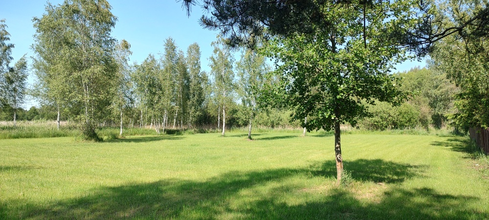 MAZURY Działka nad jeziorem Roś z dostępem do linii brzegowej i pomostu -  Szczechy Małe - 7