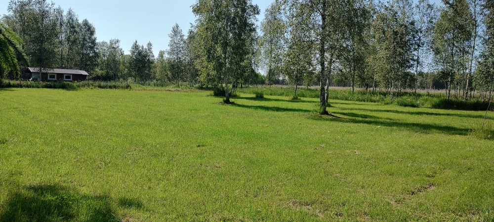 MAZURY Działka nad jeziorem Roś z dostępem do linii brzegowej i pomostu -  Szczechy Małe - 8