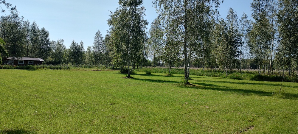 MAZURY Działka nad jeziorem Roś z dostępem do linii brzegowej i pomostu -  Szczechy Małe - 1