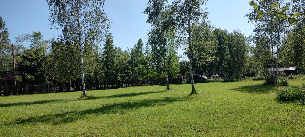 MAZURY Działka nad jeziorem Roś z dostępem do linii brzegowej i pomostu -  Szczechy Małe - 3