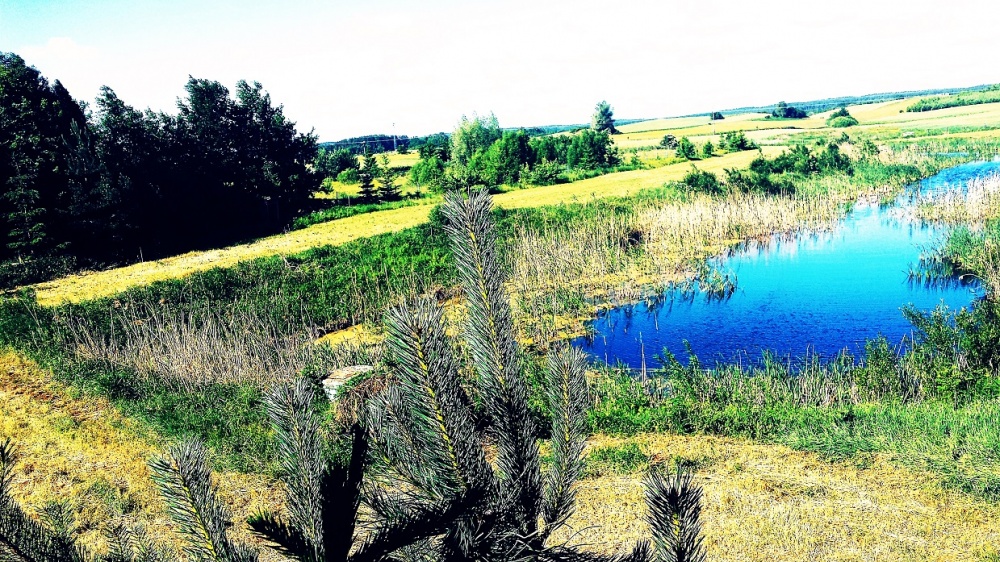 Działka z dostępem do linii brzegowej Jeziora - 0