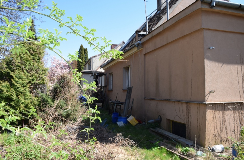 Gołąbki Jesienna 30 - 7