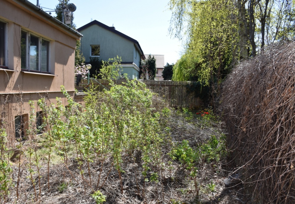 Gołąbki Jesienna 30 - 8