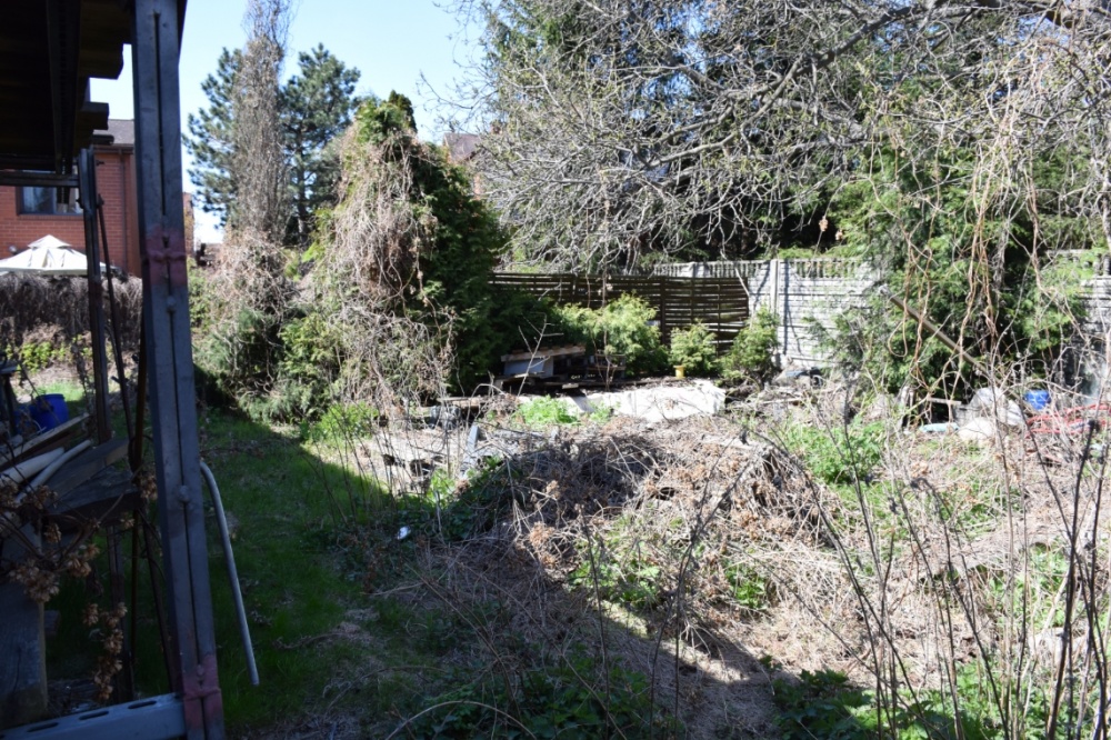 Gołąbki Jesienna 30 - 9