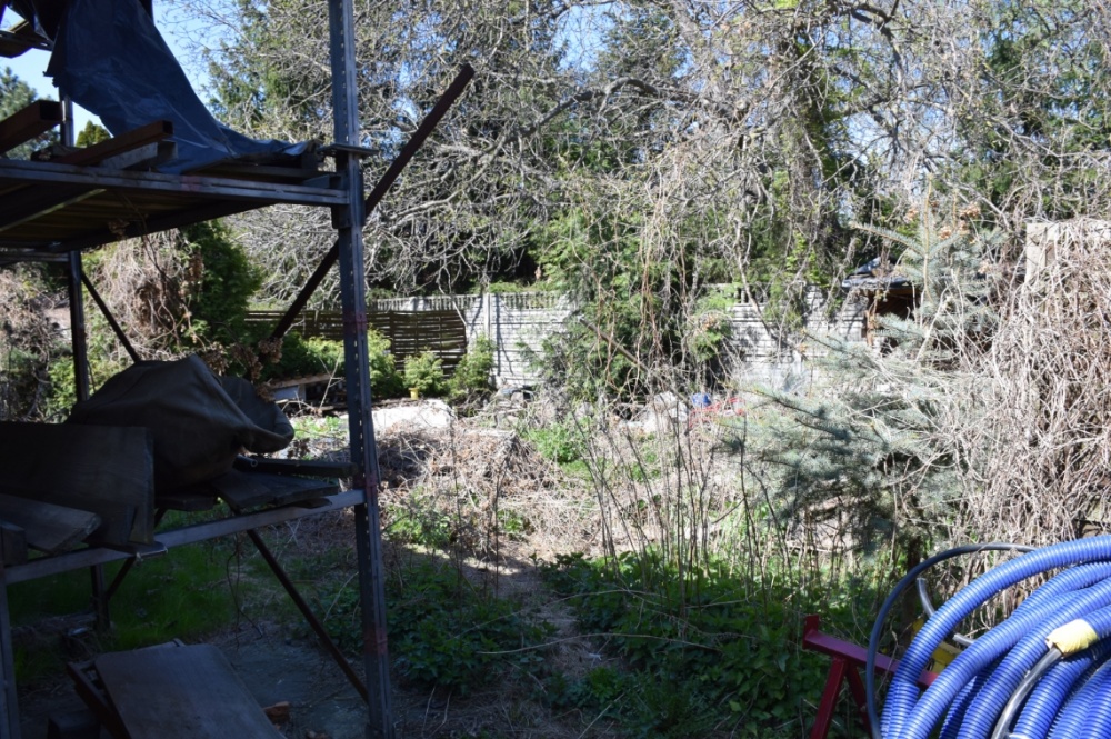 Gołąbki Jesienna 30 - 10