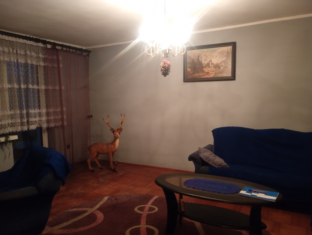 Sprzedam dom do remontu cena do negocjacji  - 2