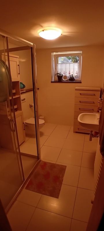 Dom 120m2 + duża działka z potencjałem inwestycyjnym, sad, las, spokój - 10
