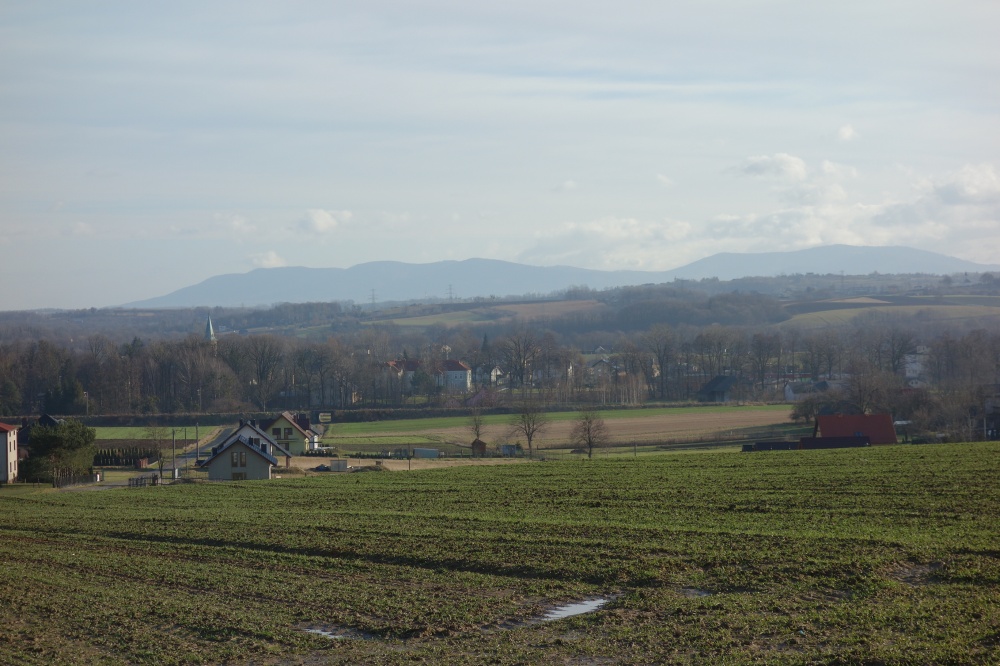 Skoczów Pierściec 1,21 ha przepiękna panorama gór i okolicy - 5