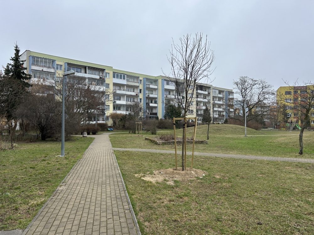 Sprzedam mieszkanie 3 pokojowe na Zaspie  - 11