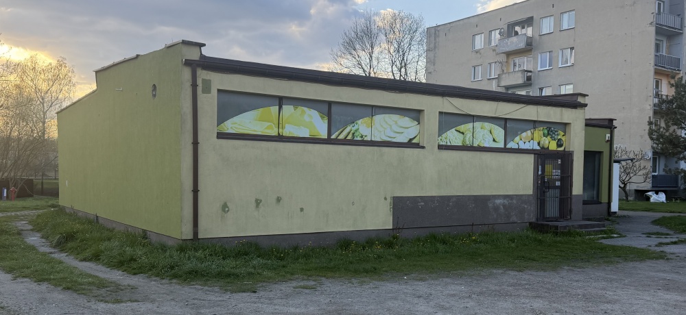 Pawilon handlowo-usługowy z działką  - 0
