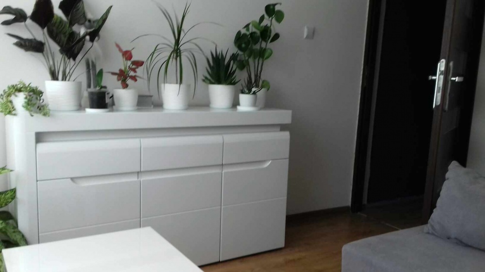 BEZ POŚREDNIKÓW SPRZEDAM Mieszkanie 44,15m 2 pokoje - 6