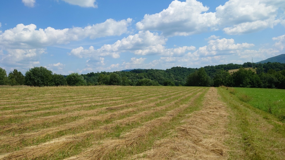 Działka BUDOWLANA, Bieszczady, Bóbrka, k. SOLINA - 5
