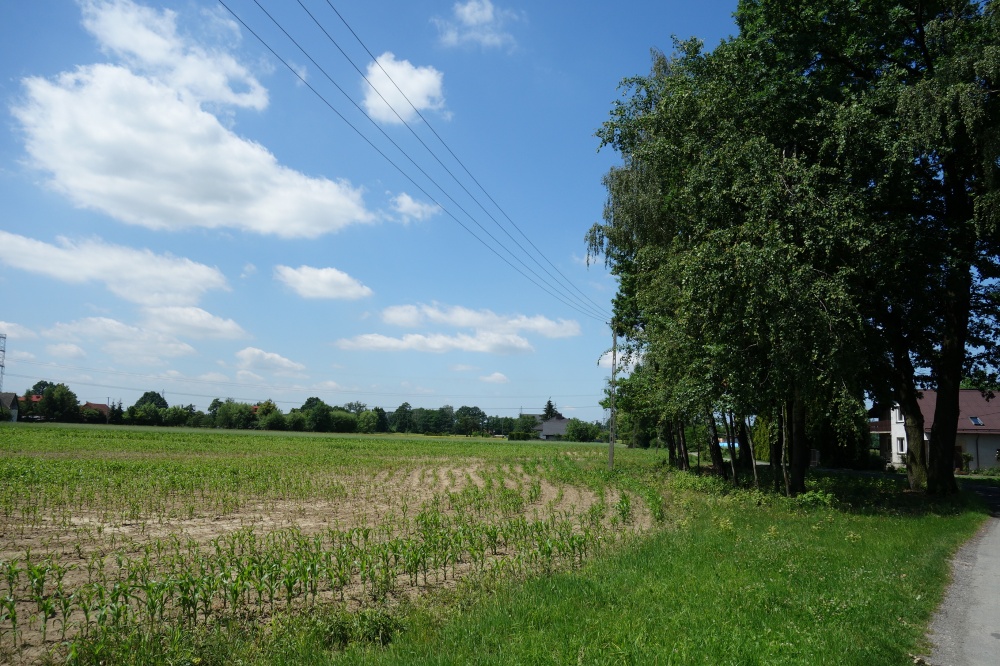 Skoczów Ochaby 1,57ha pod usługi i budownictwo - 0