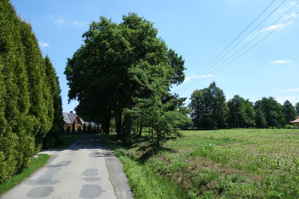 Skoczów Ochaby 1,57ha pod usługi i budownictwo - 3