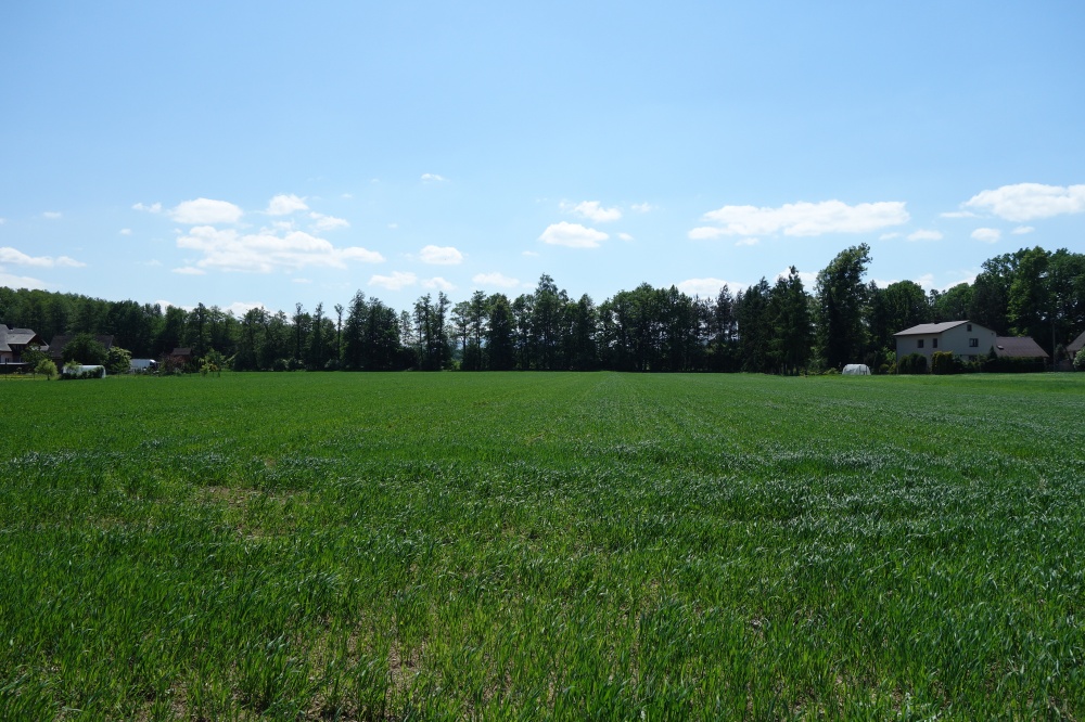 Skoczów Ochaby 1,57ha pod usługi i budownictwo - 4