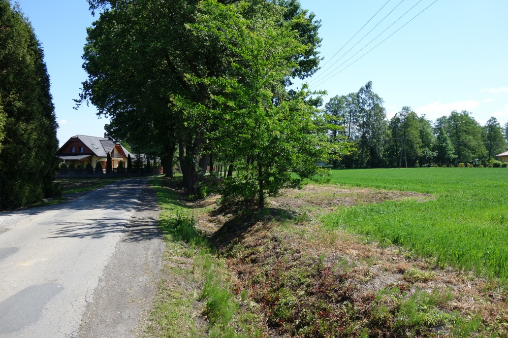 Skoczów Ochaby 1,57ha pod usługi i budownictwo - 5