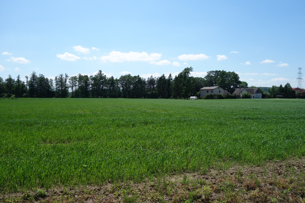 Skoczów Ochaby 1,57ha pod usługi i budownictwo - 6