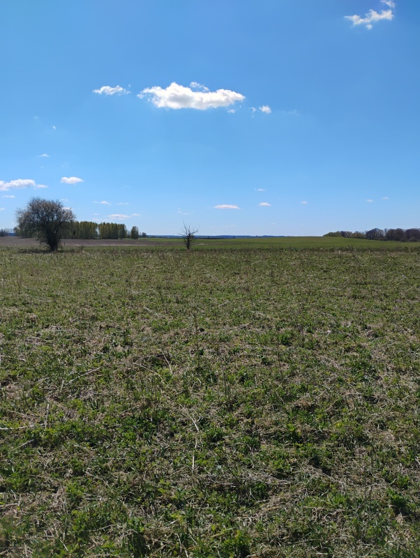 Sprzedam działkę Rolną 4,91 ha Woźnice - 0