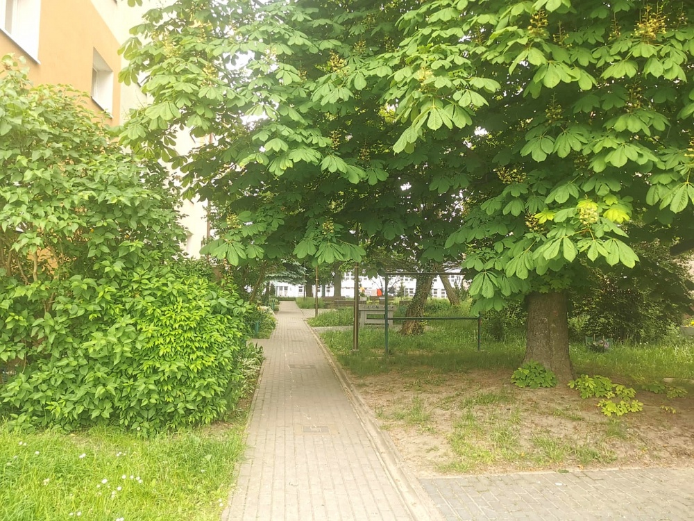 Bez prowizji po remoncie 43 mkw parter k. WSIZ i Parku Sybiraków  - 10