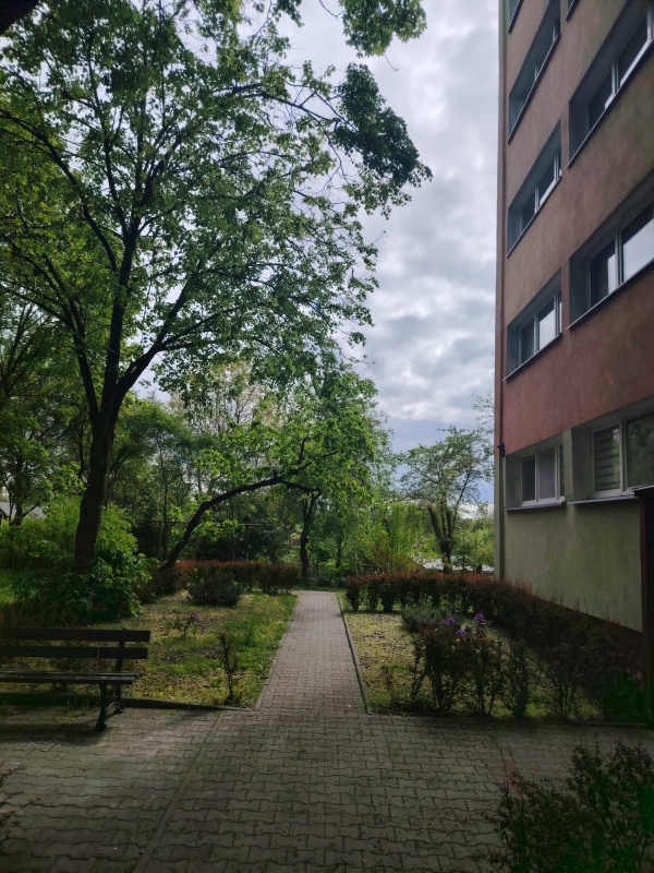Oferuję mieszkanie do wynajęcia  - 10