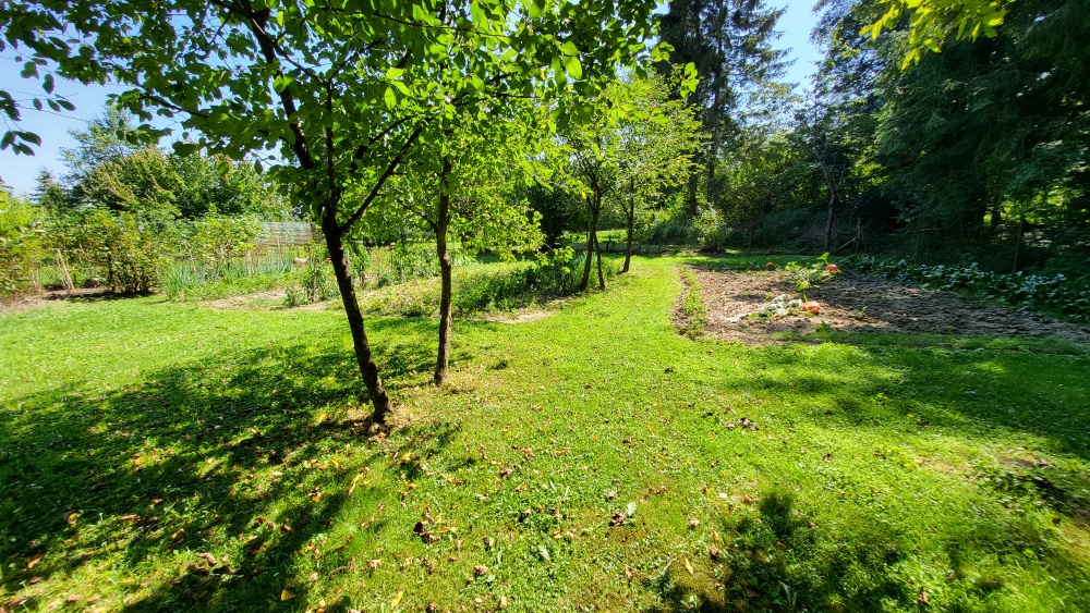 Dom na Pogórzu Przemyskim (zalążek Bieszczad) - 1