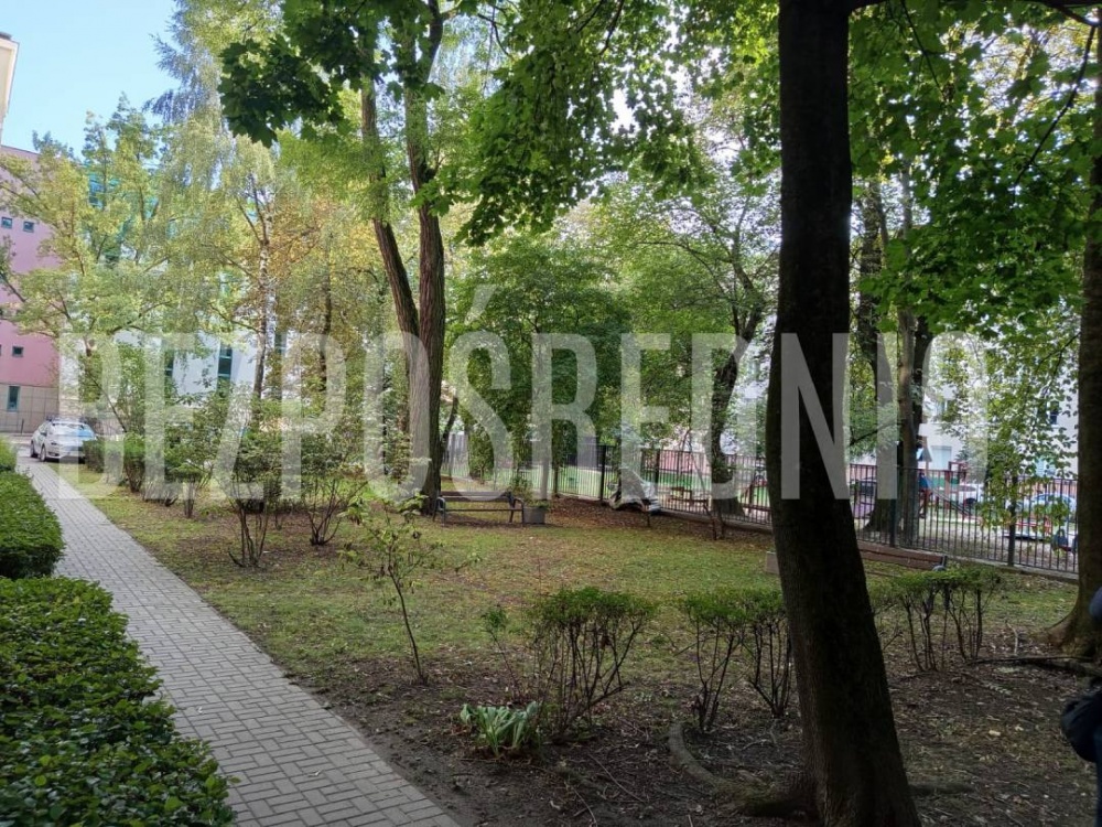 Centrum, obok Plazy, możliwe 3 pokoje, 47m2, Śródmieście, ul.Chopina, wysoki sufit - 14