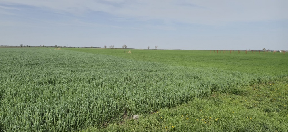 Dom z działką koło Gniezna 115m2 - 7
