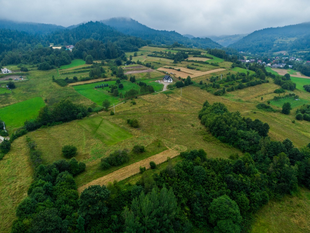 Sprzedam działkę budowlaną 1004m2 w górach, Gm. Kamienica, powiat limanowski,woj. małopolskie - 2