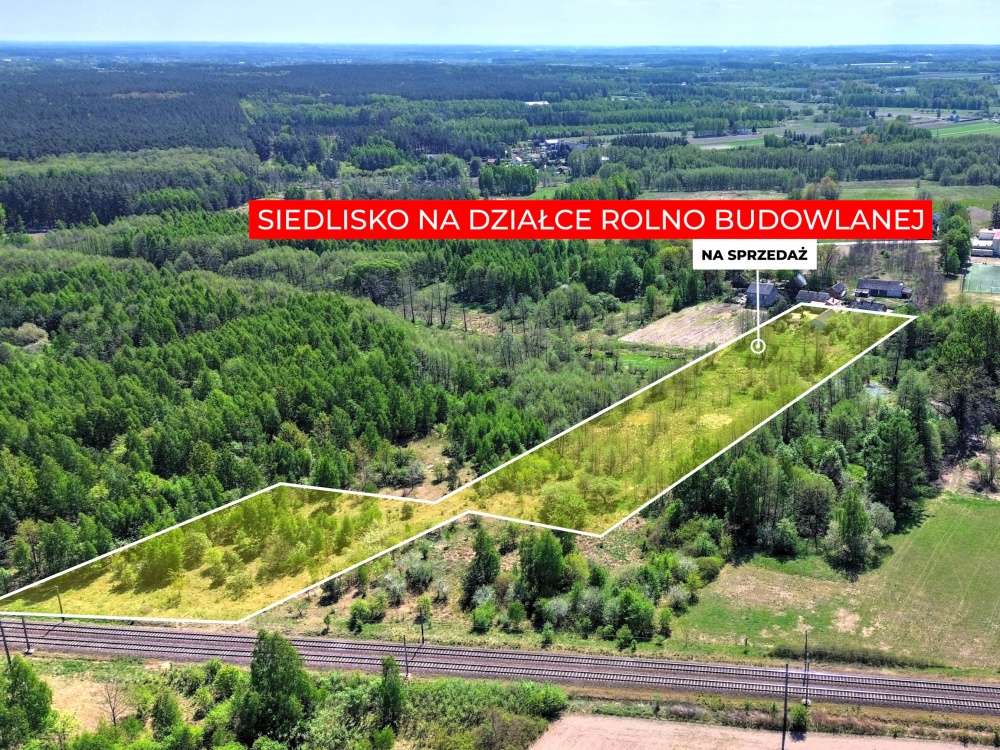 Siedlisko w Suchostrudze koło Tarczyna - 0