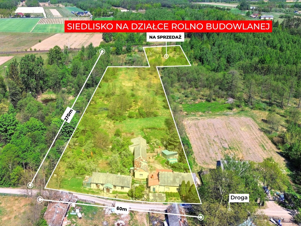 Siedlisko w Suchostrudze koło Tarczyna - 2
